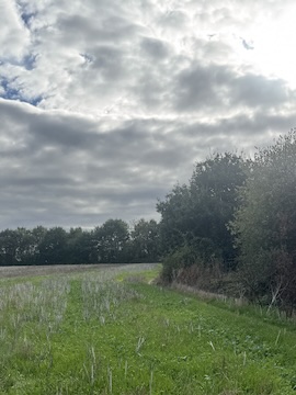 Green belt